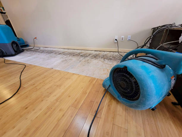 Professional Water Damage Repair technician working in Friday Harbor, WA